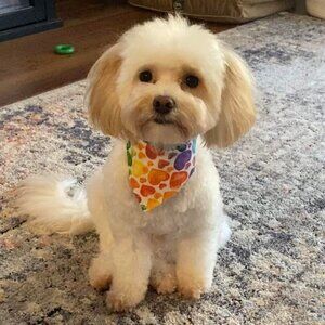 Meet your Posher, Stacy